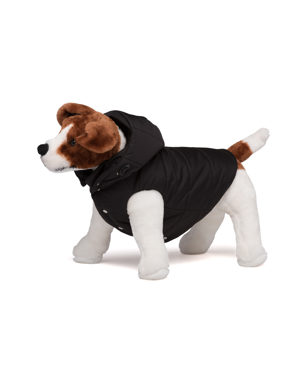 Prada Nylon Puffer Dog Coat With Hood Svarte | 243-CRWQLV